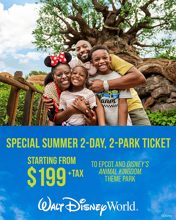Disney World Special Summer 2-Day 2-Park Ticket